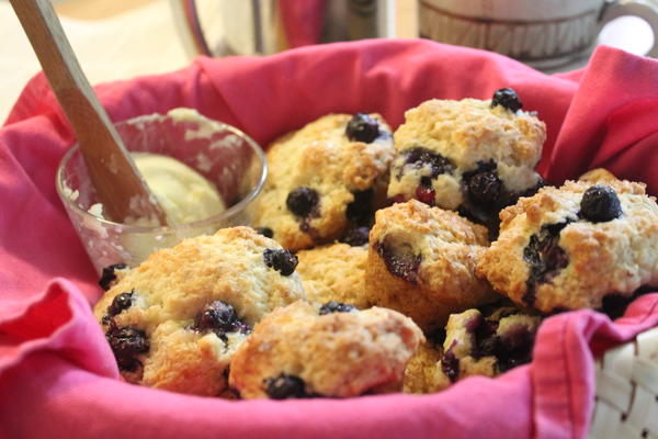 Blueberry Muffins