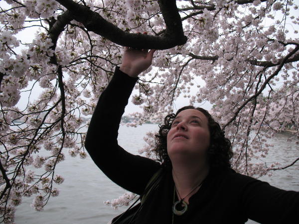 Audrey looking at the cherry blossoms