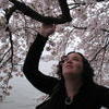 Audrey looking at the cherry blossoms
